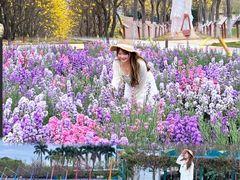 -盈香心动乐园
