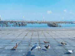 -东港音乐喷泉广场