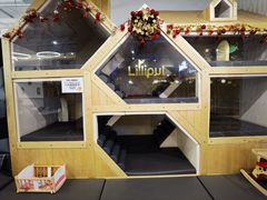 -Lilliput粒粒堡亲子餐厅(置汇旭辉店)