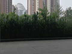 -星巴克(北京望京东园店)