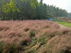 -艾溪湖湿地公园