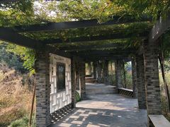 -龙寺生态园