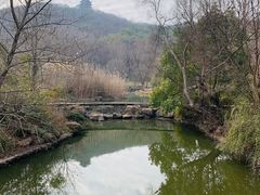 -采石矶景区