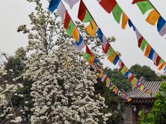 -西安市广仁寺
