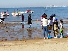 -老虎石海上公园