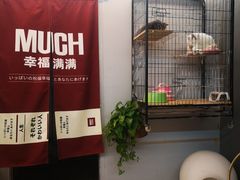 -叁秋咖啡 SANQIU COFFEE(天津河北路店)