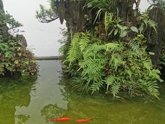 -成都杜甫草堂博物馆