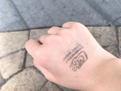 -圣淘沙天际线斜坡滑车