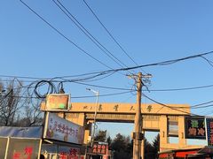 -东北农业大学