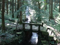 -庐山风景区花径公园