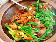 -顺味凤城·顺德菜专门店(九六广场店)