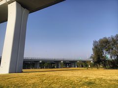 -宝安西湾红树林湿地公园