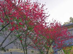 -乌山风景区