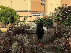 -日本环球影城