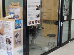 -中农大我爱我爱动物医院·核磁CT·猫病·24小时夜诊中心(石佛营店)