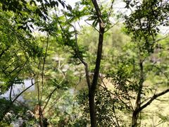 -幕燕滨江·长江观音景区