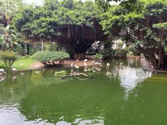 -九龙公园