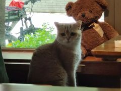 -咖法森林·咖啡  酒吧(天河店)