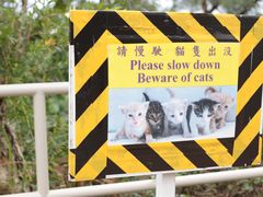 -大埔公路-马料水段香港中文大学(公交站)