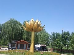 -白洋淀景区