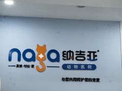 -纳吉亚猫专科动物诊疗中心(蒋宅口分院)