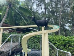 -三亚亚龙湾天域度假酒店