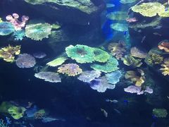 -暹罗海洋世界