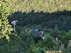 -香山公园