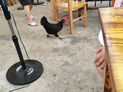 -柴火农家饭(遇龙河店)