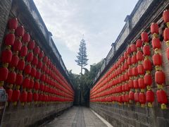 -安仁古镇