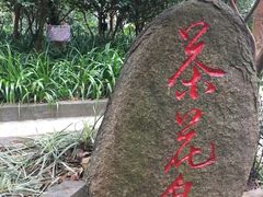 -白云山风景名胜区