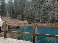 -九寨沟-树正沟