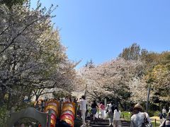 -杭州少年儿童公园