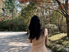 -长广溪湿地公园