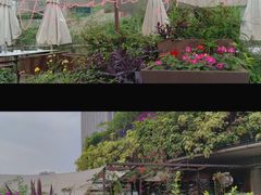 -听香·678茶铺(猛追湾店)