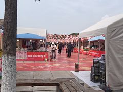 -南湖湿地公园