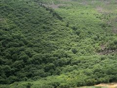 -黄龙山原始森林景区