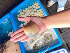 -旗鱼海番村(Orang Asli)