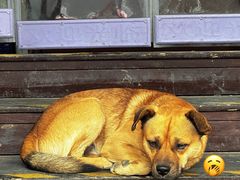 -何适山庄 ·可团建(水长城P2停车场店)