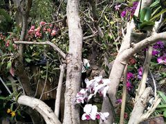 -南通洲际绿博园