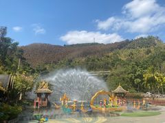 -西双版纳原始森林公园