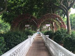 -百万葵园
