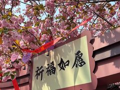 -祥源·阜阳生态乐园