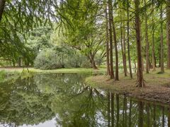 -上海共青森林公园