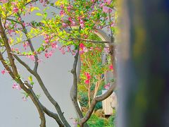 -虎丘山风景名胜区