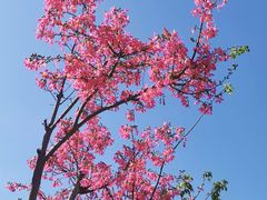 -风云岭森林公园