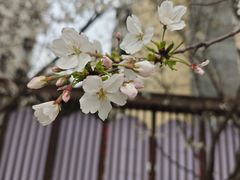 -西北湖绿化广场