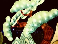 -长春市南湖公园