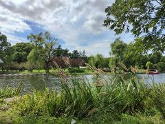 -上海共青森林公园