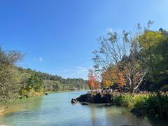 -广州白江湖森林公园